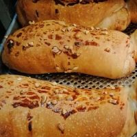 acma-cikolatali